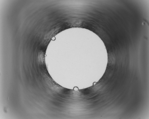 X0000103910287200810171712