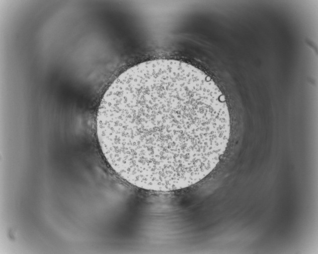 X0000103910288200810171712