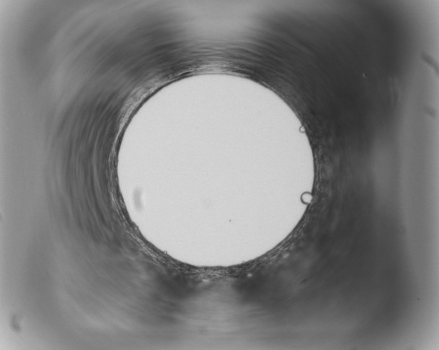 X0000103910289200810171712