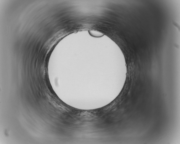 X0000103910290200810171712