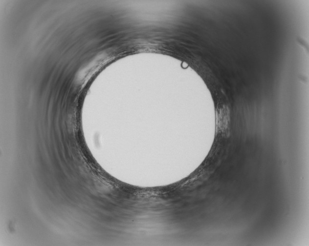 X0000103910291200810171712
