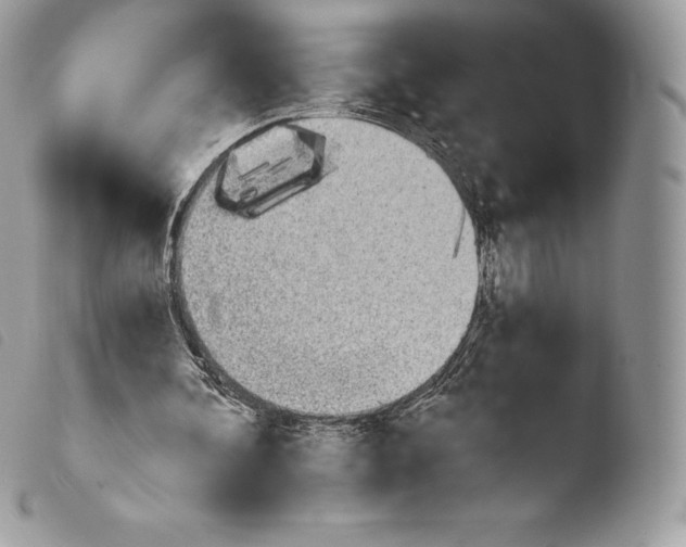 X0000103910292200810171712