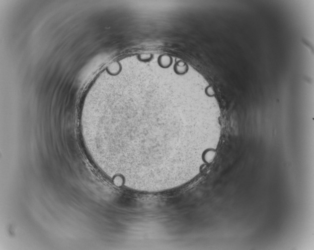 X0000103910293200810171712