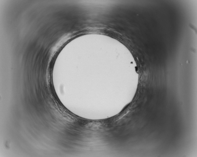 X0000103910294200810171712