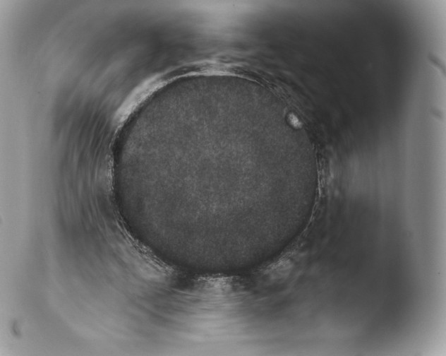 X0000103910295200810171712