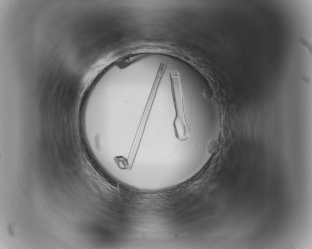 X0000103910296200810171712