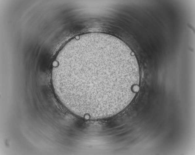 X0000103910297200810171712