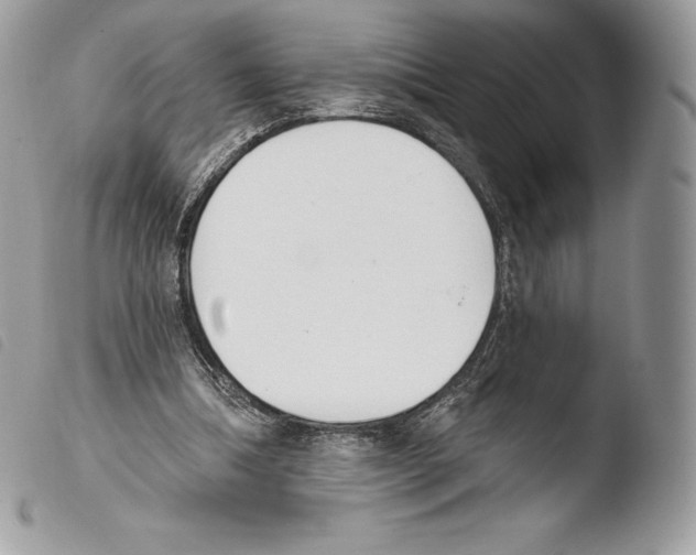 X0000103910298200810171712