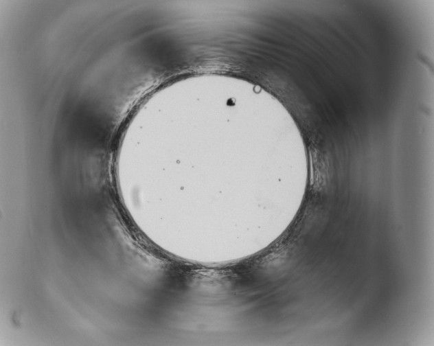 X0000103910300200810171711