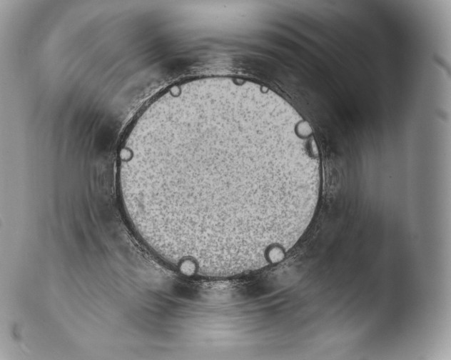 X0000103910301200810171711
