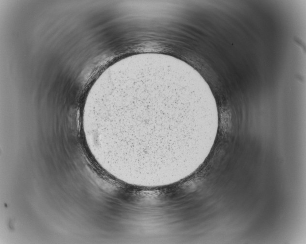 X0000103910302200810171711