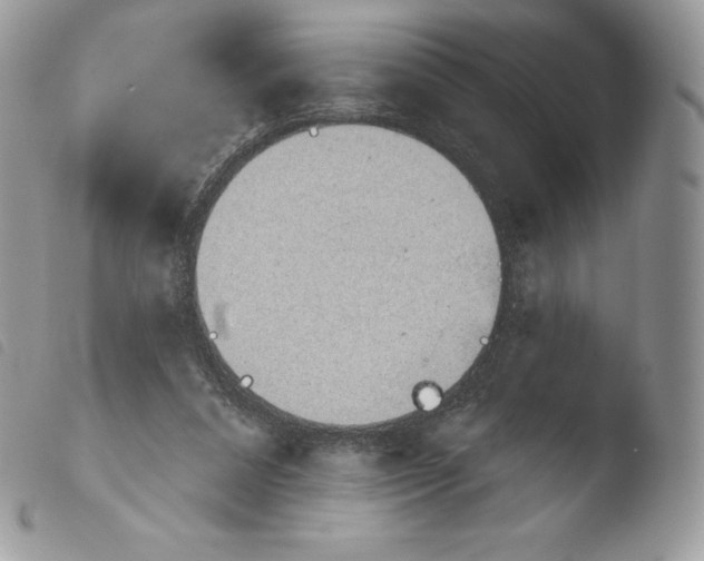 X0000103910304200810171711
