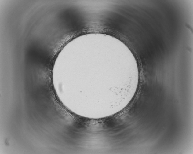 X0000103910305200810171711