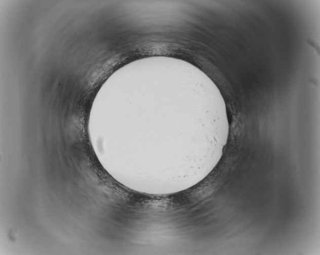 X0000103910306200810171711