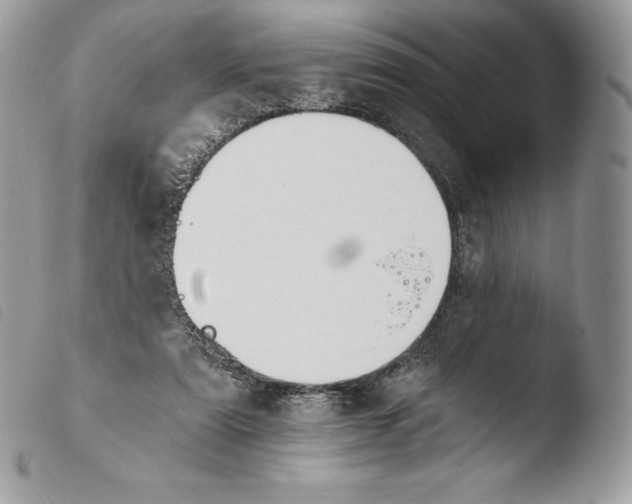 X0000103910307200810171711