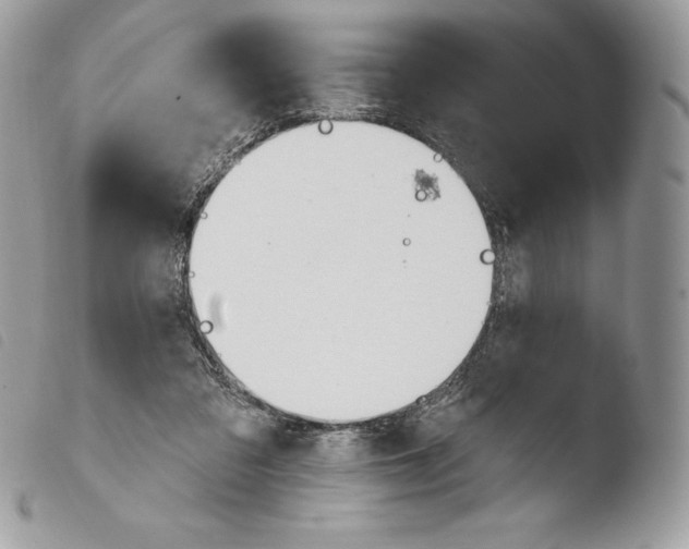 X0000103910309200810171711
