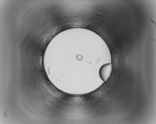 X0000103910310200810171711