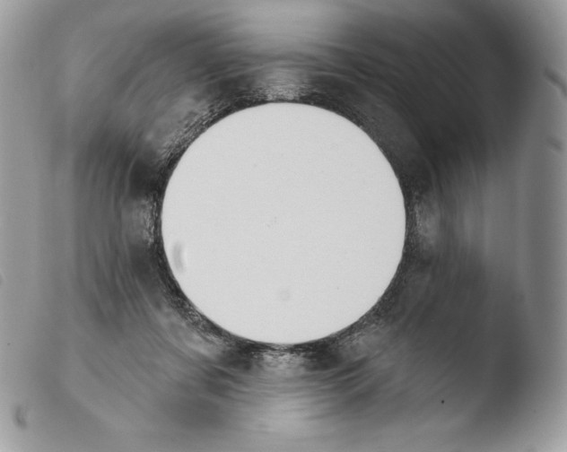 X0000103910311200810171711