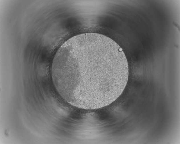 X0000103910312200810171711