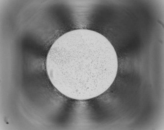 X0000103910313200810171711