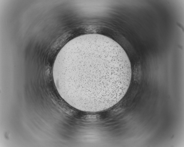 X0000103910314200810171711