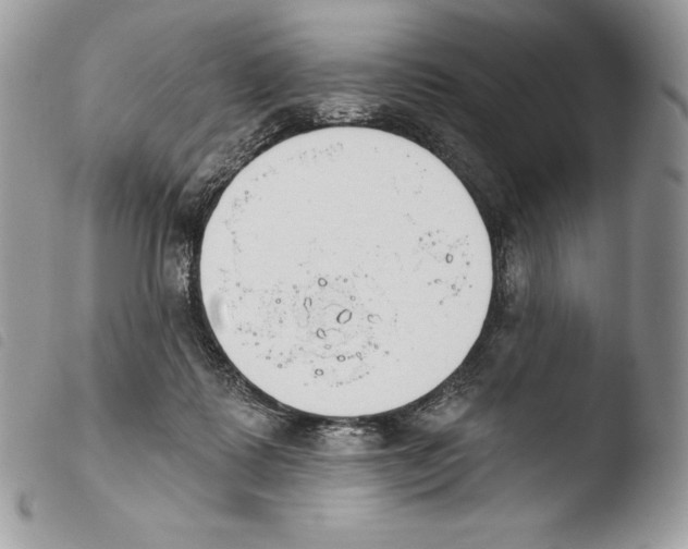 X0000103910315200810171711