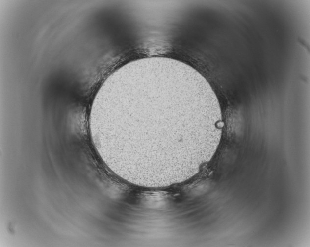 X0000103910316200810171711