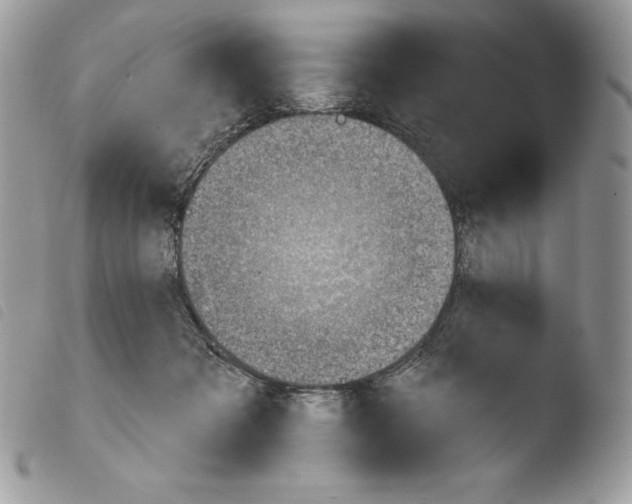 X0000103910317200810171711