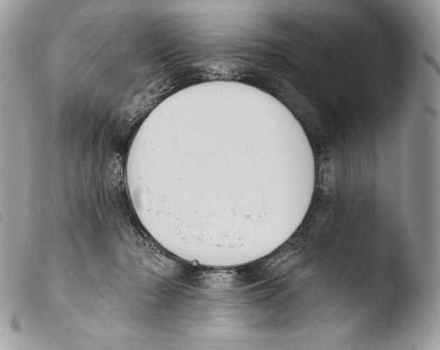 X0000103910318200810171711