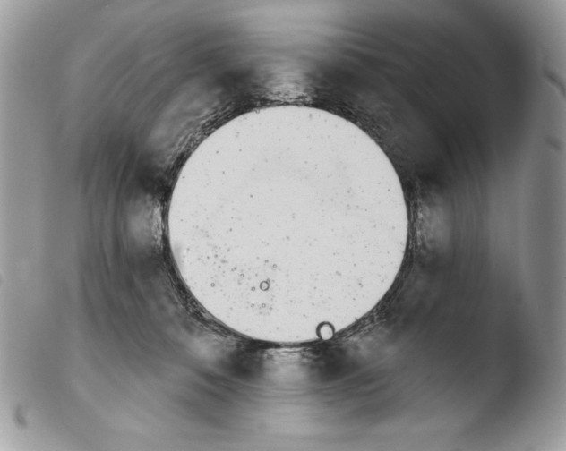 X0000103910320200810171711