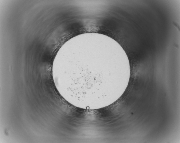 X0000103910321200810171711