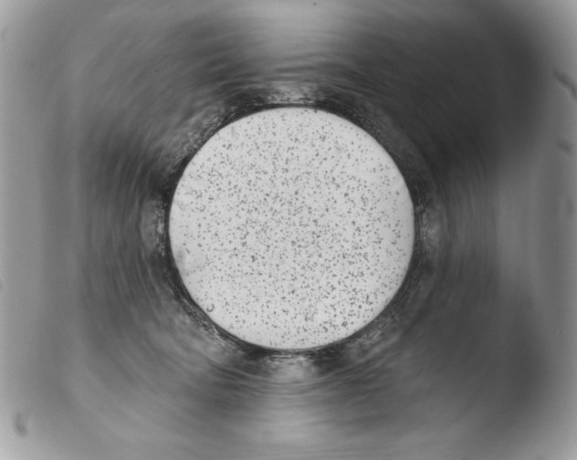 X0000103910322200810171711
