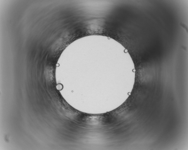 X0000103910323200810171711