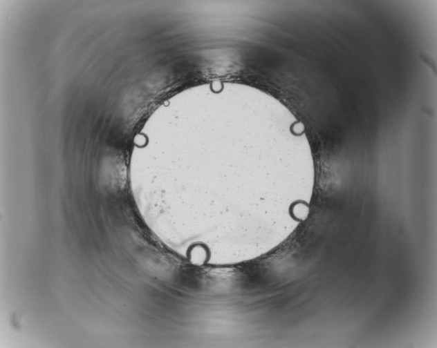 X0000103910324200810171711