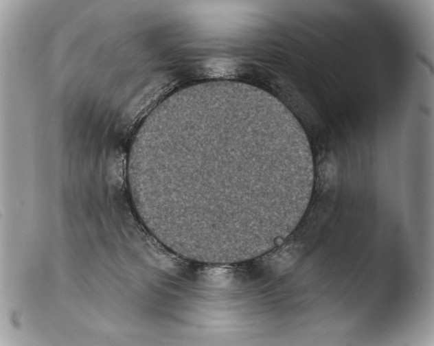 X0000103910325200810171711