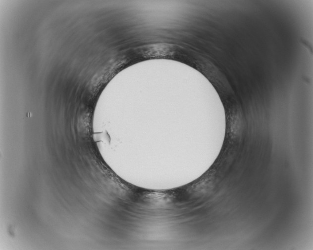 X0000103910326200810171711
