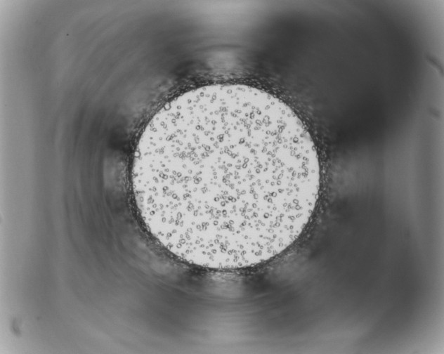 X0000103910327200810171711