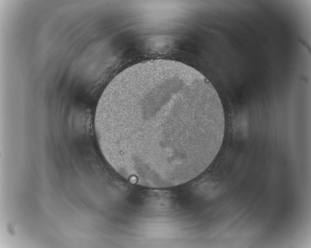 X0000103910328200810171711