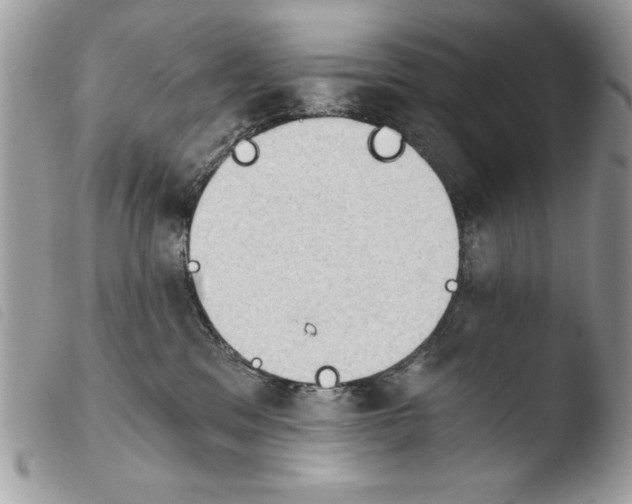 X0000103910329200810171711