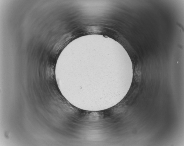 X0000103910330200810171711