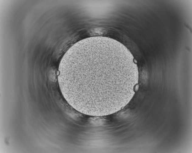 X0000103910331200810171711