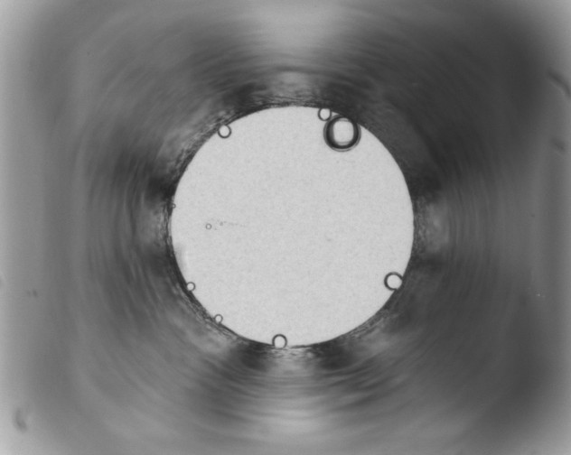 X0000103910333200810171711