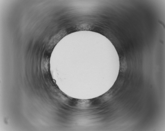 X0000103910334200810171711