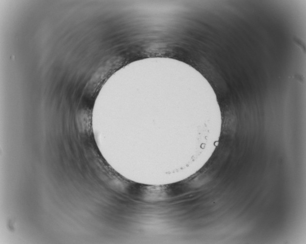 X0000103910335200810171711