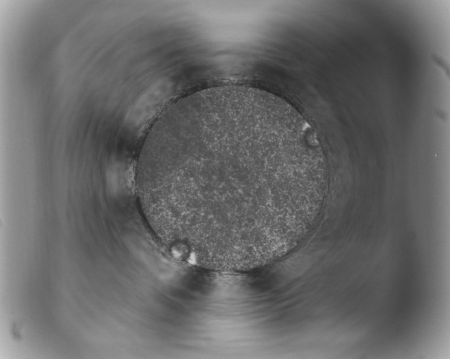 X0000103910336200810171711