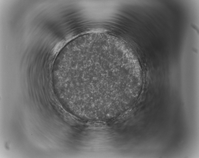 X0000103910337200810171710