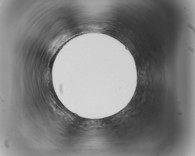 X0000103910338200810171710