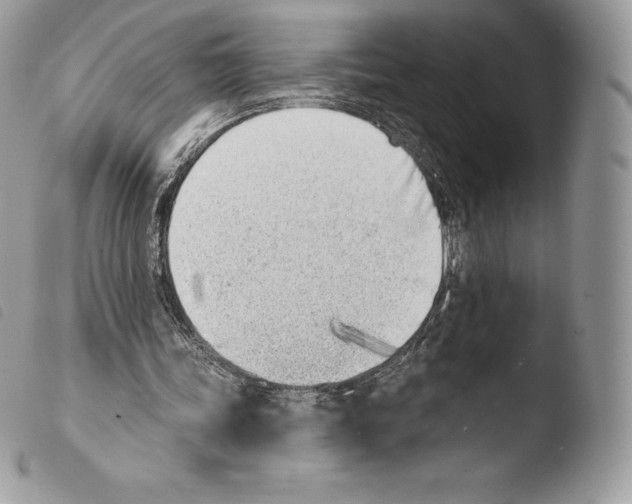 X0000103910339200810171710