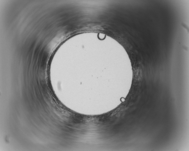 X0000103910340200810171710