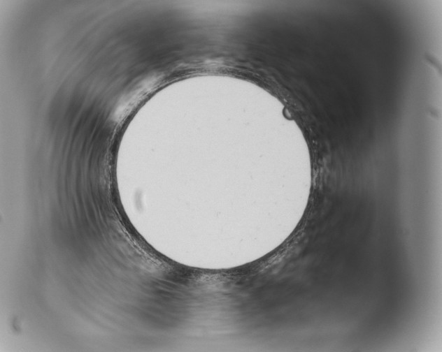 X0000103910341200810171710